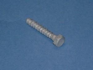 Screws-Coach-M8-x-50mm-(Pkt/25)-(30988)